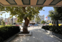İBA Blokları Sitesi SATILIK DAİRE  4+1 153m2